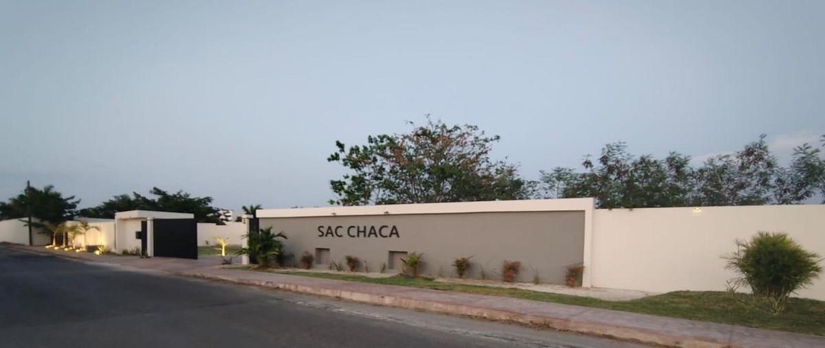 Foto de terreno habitacional en venta en  , santa gertrudis copo, mérida, yucatán, 24727502 No. 04