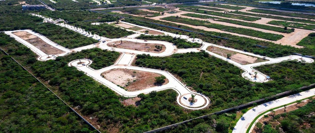 Foto de terreno habitacional en venta en  , santa gertrudis copo, mérida, yucatán, 26748689 No. 03