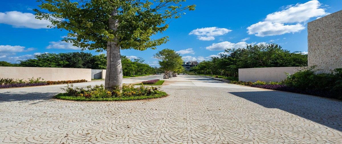 Foto de terreno habitacional en venta en  , santa gertrudis copo, mérida, yucatán, 26748689 No. 04