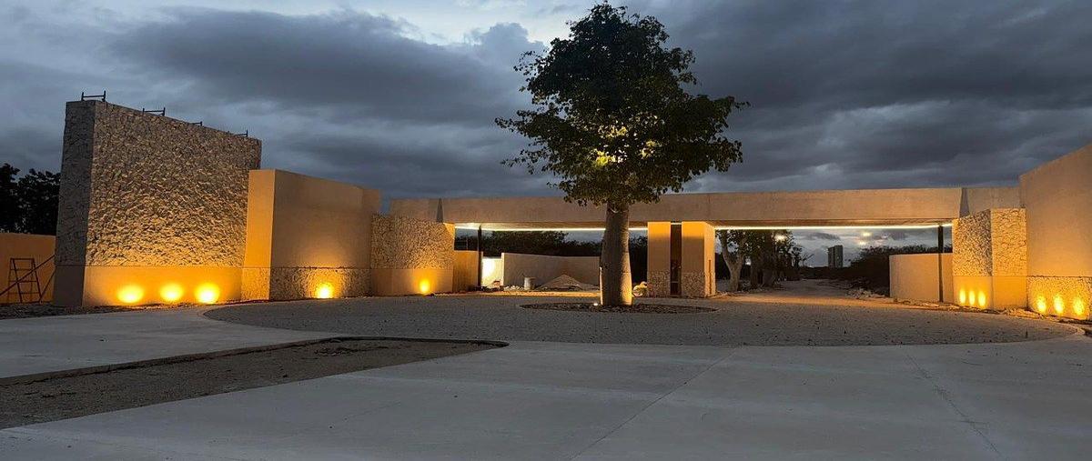 Foto de terreno habitacional en venta en  , santa gertrudis copo, mérida, yucatán, 26748689 No. 05