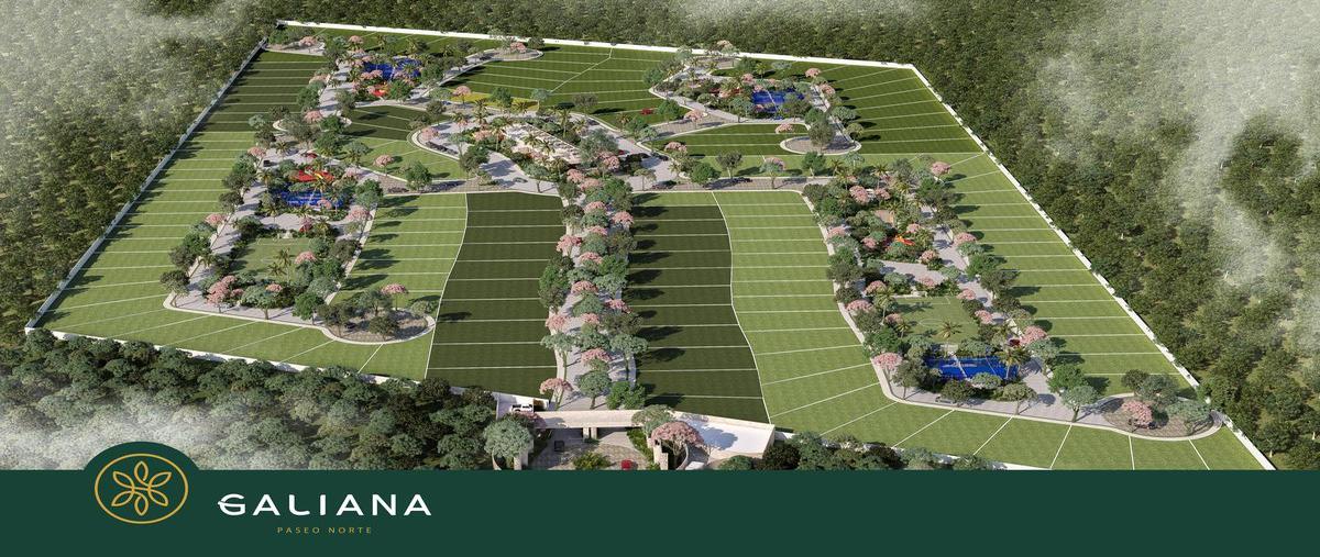 Foto de terreno habitacional en venta en  , santa gertrudis copo, mérida, yucatán, 0 No. 03
