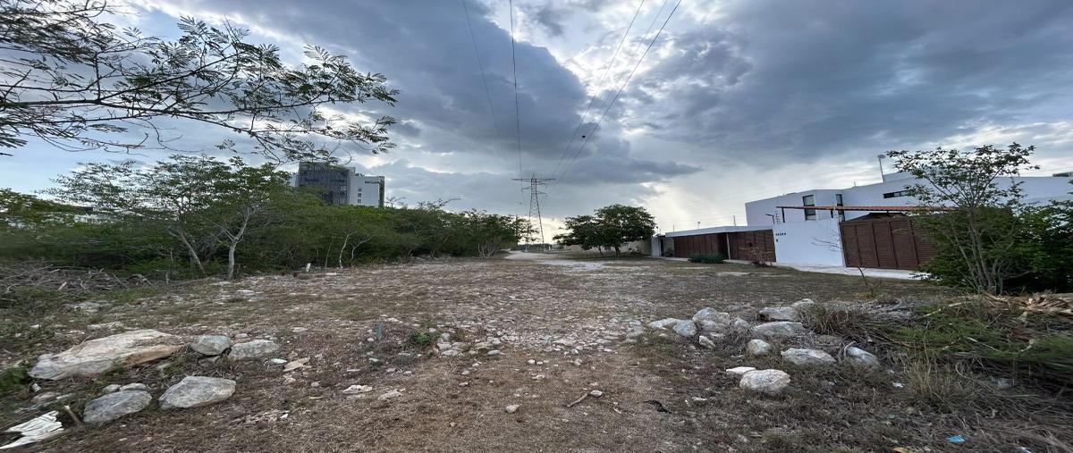 Foto de terreno habitacional en venta en  , santa gertrudis copo, mérida, yucatán, 27438448 No. 03