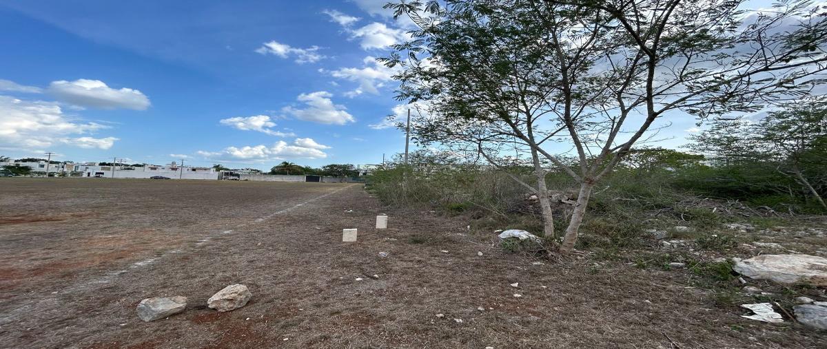 Foto de terreno habitacional en venta en  , santa gertrudis copo, mérida, yucatán, 27438448 No. 04
