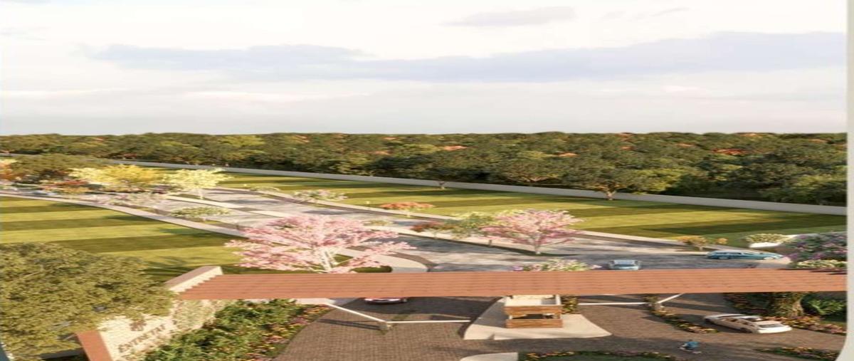 Foto de terreno habitacional en venta en  , santa gertrudis copo, mérida, yucatán, 27563827 No. 03