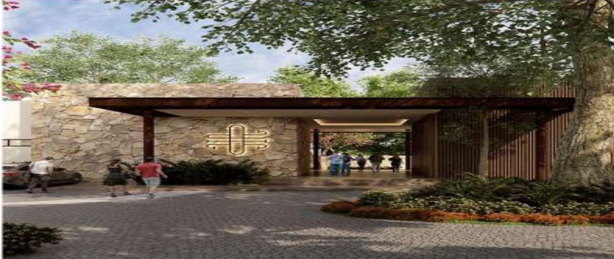 Foto de terreno habitacional en venta en  , santa gertrudis copo, mérida, yucatán, 27563827 No. 05