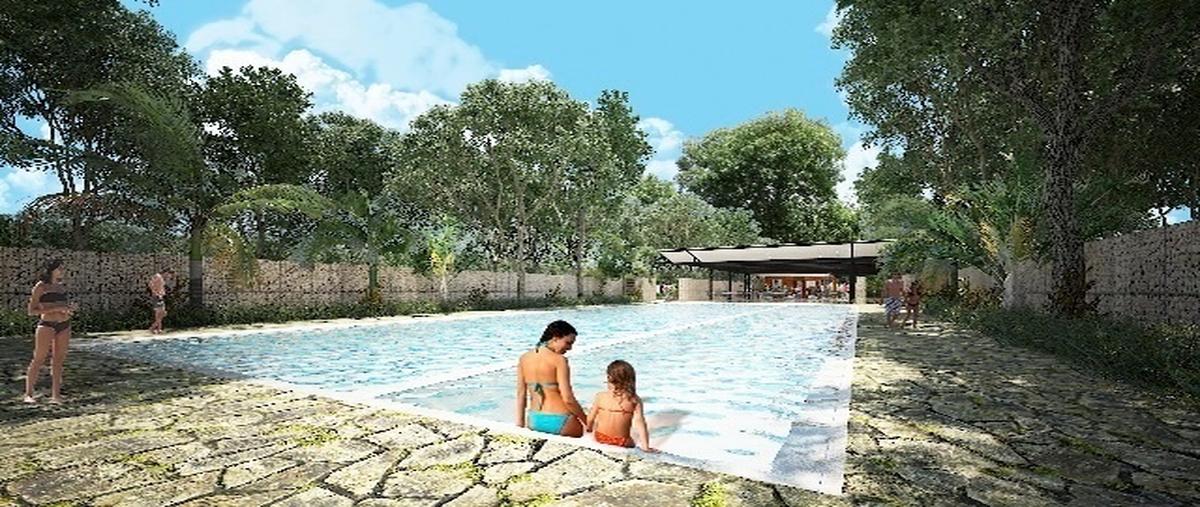 Foto de terreno habitacional en venta en  , santa gertrudis copo, mérida, yucatán, 27685741 No. 03