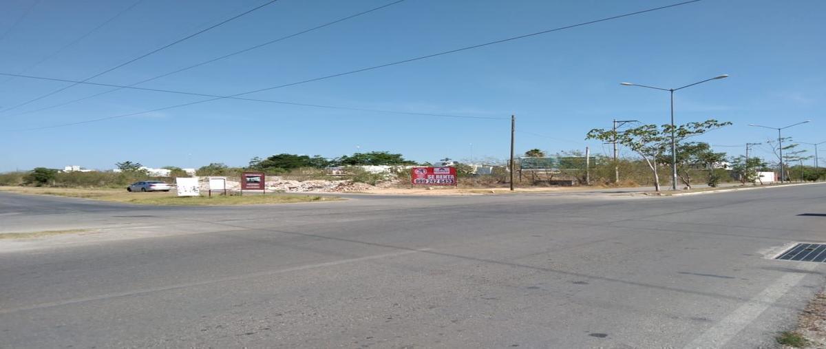 Foto de terreno comercial en renta en  , santa gertrudis copo, mérida, yucatán, 27882811 No. 04