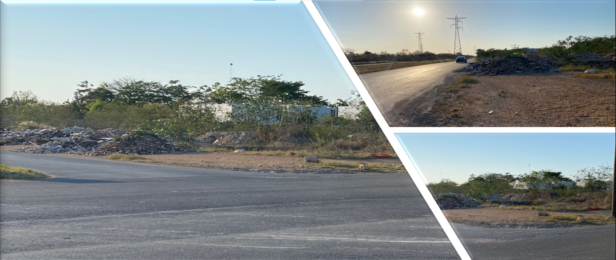 Foto de terreno comercial en renta en  , santa gertrudis copo, mérida, yucatán, 27882811 No. 05