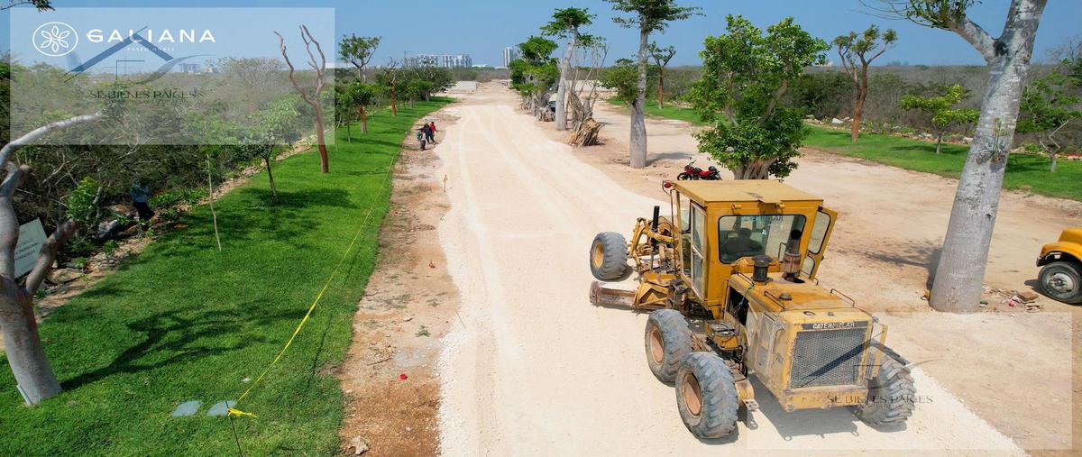 Foto de terreno habitacional en , santa gertrudis copo, mérida, yucatán, 0 foto 04 Foto de terreno habitacional en venta en , santa gertrudis copo, mérida, yucatán, 0 No. 04