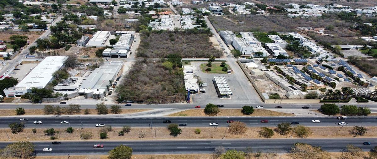 Foto de terreno habitacional en renta en  , santa gertrudis copo, mérida, yucatán, 28058720 No. 05