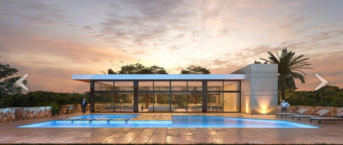 Foto de terreno habitacional en venta en  , santa gertrudis copo, mérida, yucatán, 28157448 No. 04