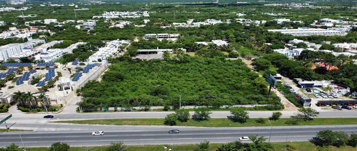 Foto de terreno comercial en venta en  , santa gertrudis copo, mérida, yucatán, 28641134 No. 03