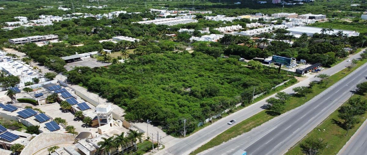 Foto de terreno comercial en venta en  , santa gertrudis copo, mérida, yucatán, 28641134 No. 04