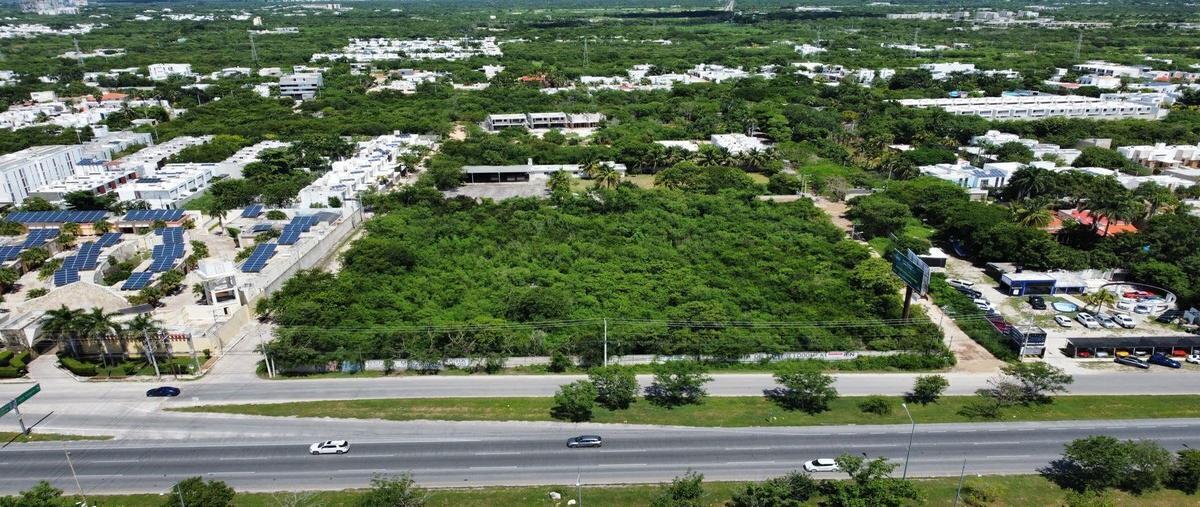 Foto de terreno habitacional en renta en  , santa gertrudis copo, mérida, yucatán, 28641135 No. 03