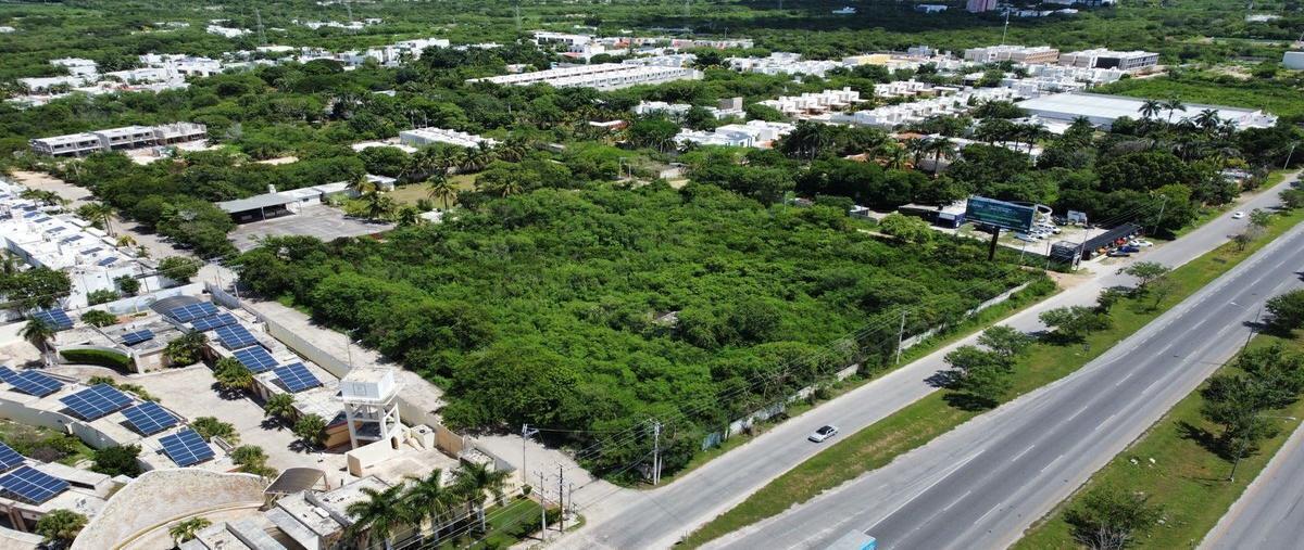 Foto de terreno habitacional en renta en  , santa gertrudis copo, mérida, yucatán, 28641135 No. 04