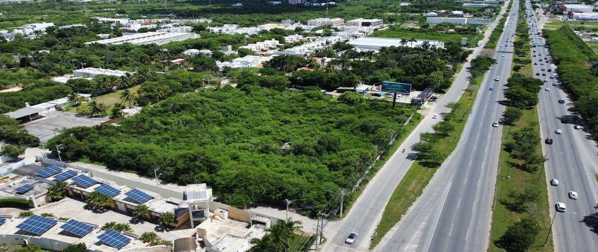 Foto de terreno habitacional en renta en  , santa gertrudis copo, mérida, yucatán, 28641135 No. 05
