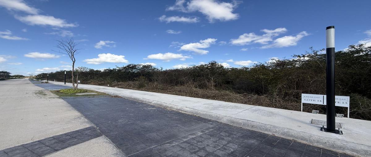 Foto de terreno habitacional en venta en  , santa gertrudis copo, mérida, yucatán, 29273072 No. 05