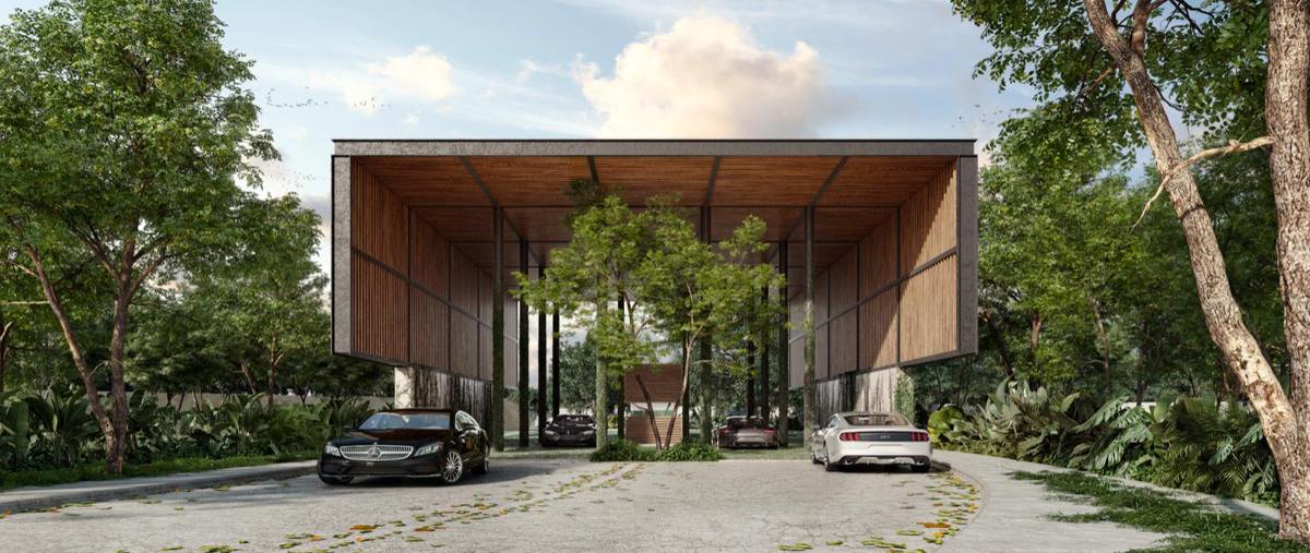 Foto de terreno habitacional en venta en  , santa gertrudis copo, mérida, yucatán, 0 No. 03