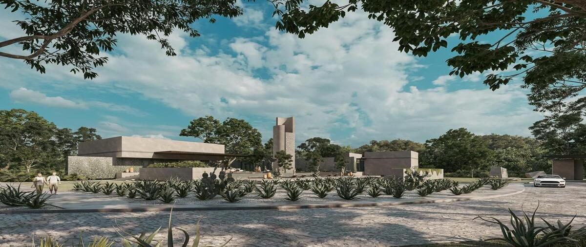 Foto de terreno habitacional en venta en  , santa gertrudis copo, mérida, yucatán, 29768765 No. 03