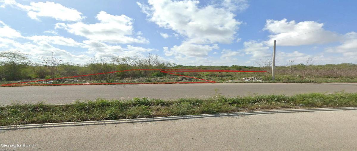 Foto de terreno habitacional en venta en  , santa gertrudis copo, mérida, yucatán, 29870524 No. 05