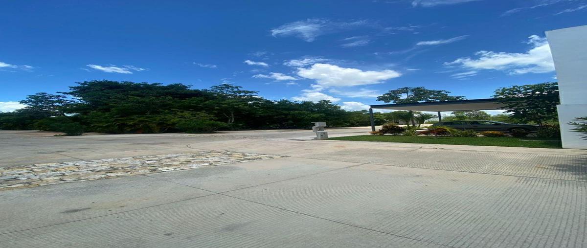 Foto de terreno habitacional en venta en  , santa gertrudis copo, mérida, yucatán, 0 No. 03