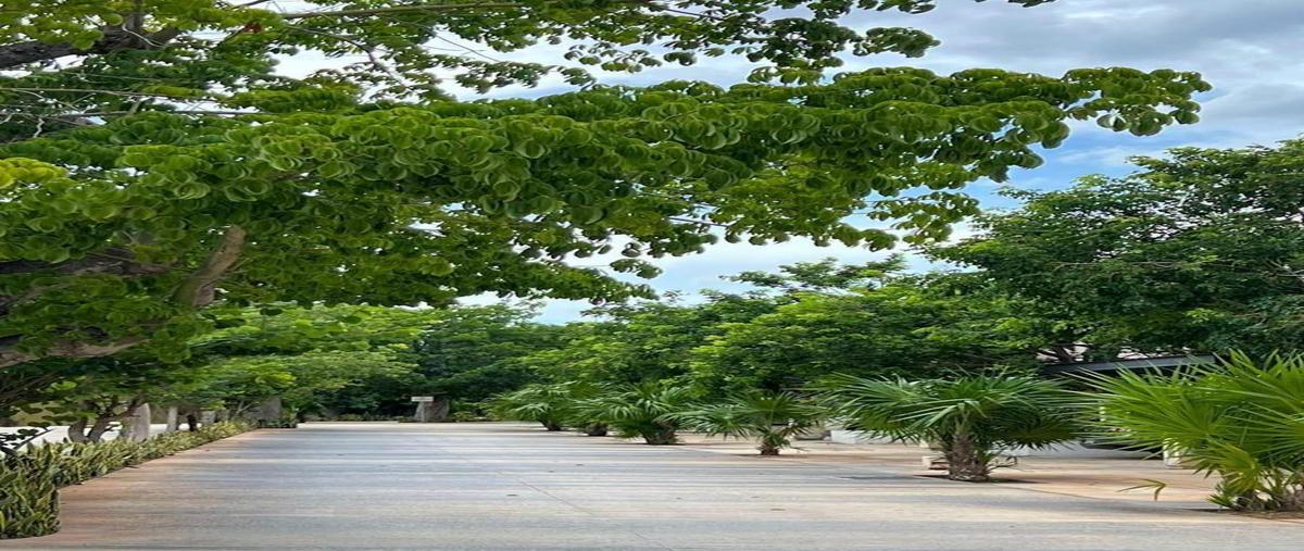 Foto de casa en renta en  , santa gertrudis copo, mérida, yucatán, 0 No. 05