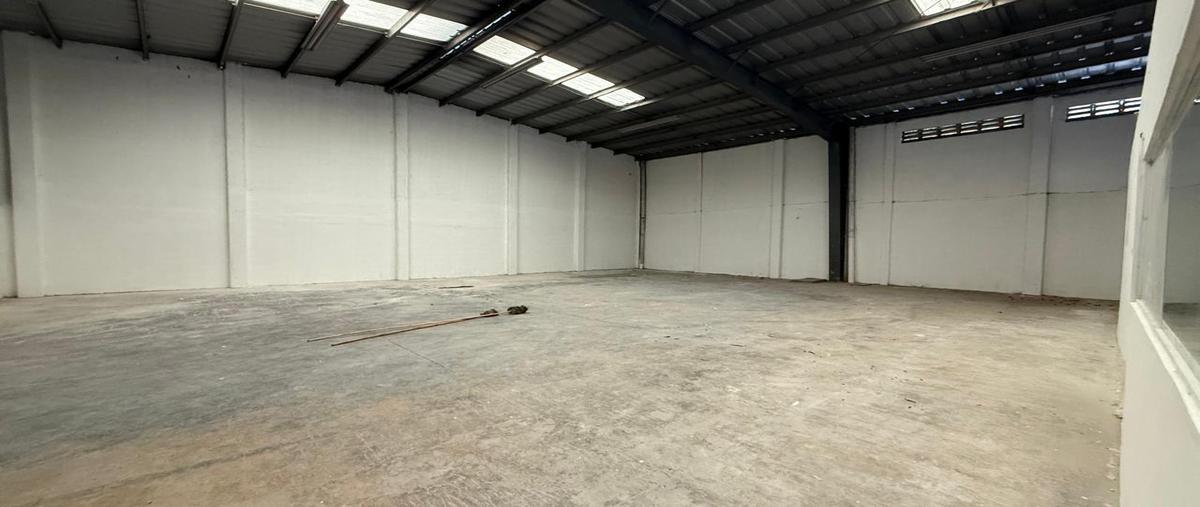 Foto de bodega en renta en  , santa gertrudis copo, mérida, yucatán, 30216378 No. 04