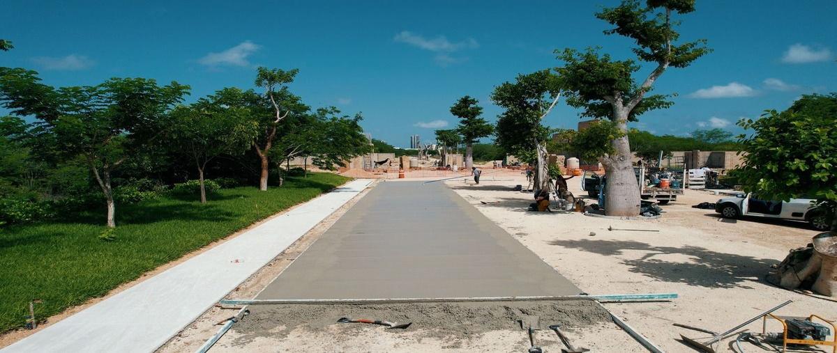 Foto de terreno habitacional en , santa gertrudis copo, mérida, yucatán, 30266107 foto 01 Foto de terreno habitacional en venta en , santa gertrudis copo, mérida, yucatán, 30266107 No. 01