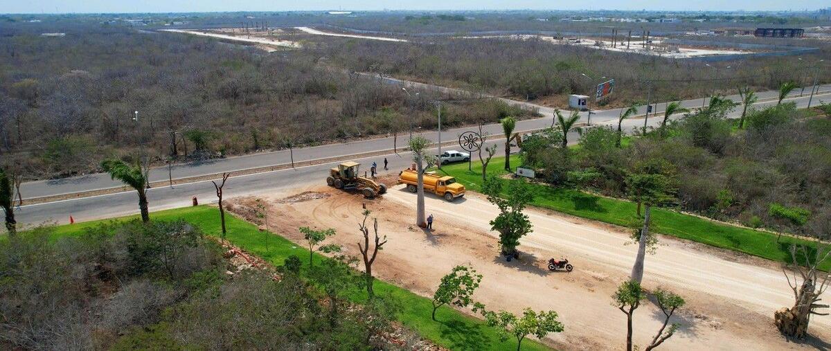 Foto de terreno habitacional en , santa gertrudis copo, mérida, yucatán, 30266107 foto 05 Foto de terreno habitacional en venta en , santa gertrudis copo, mérida, yucatán, 30266107 No. 05