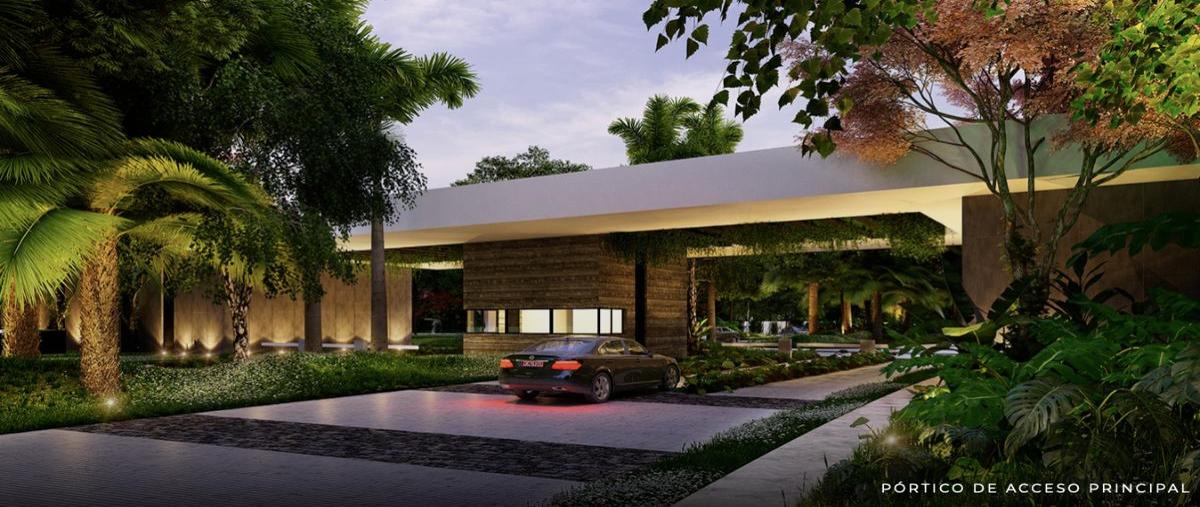 Foto de terreno habitacional en venta en  , santa gertrudis copo, mérida, yucatán, 30675099 No. 04