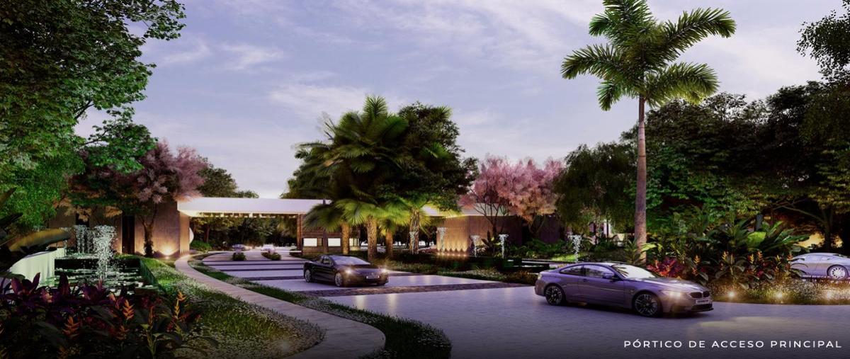 Foto de terreno habitacional en venta en  , santa gertrudis copo, mérida, yucatán, 30675099 No. 05