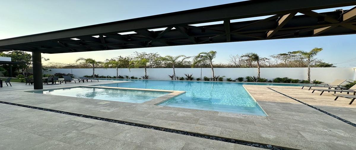 Foto de terreno habitacional en venta en  , santa gertrudis copo, mérida, yucatán, 0 No. 04