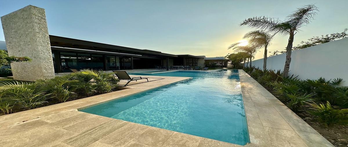 Foto de terreno habitacional en venta en  , santa gertrudis copo, mérida, yucatán, 0 No. 05