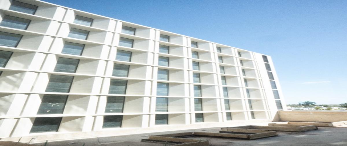 Foto de local en renta en  , santa gertrudis copo, mérida, yucatán, 0 No. 05