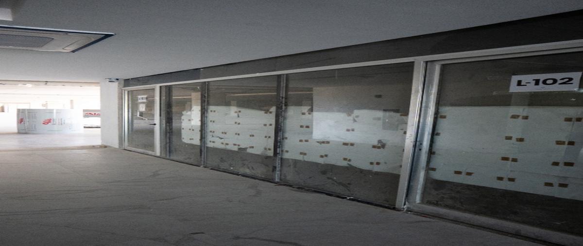 Foto de local en renta en  , santa gertrudis copo, mérida, yucatán, 0 No. 04