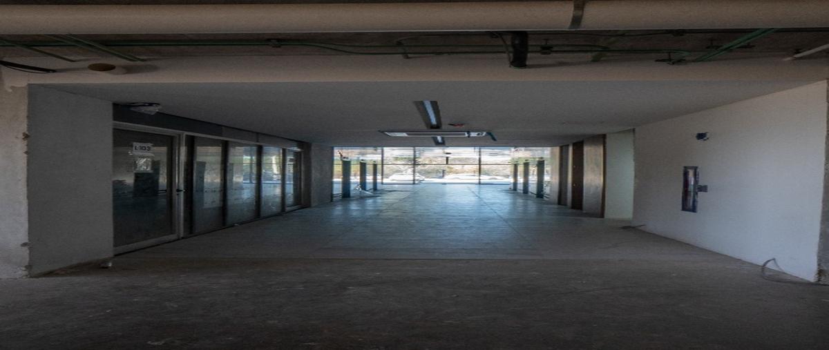 Foto de local en renta en  , santa gertrudis copo, mérida, yucatán, 0 No. 05