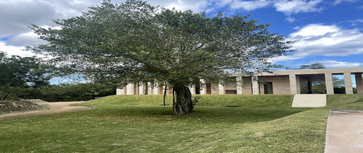 Foto de departamento en venta en  , santa gertrudis copo, mérida, yucatán, 31426788 No. 03