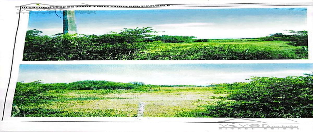 Foto de terreno habitacional en , santa gertrudis, ignacio de la llave, veracruz de ignacio de la llave, 7295752 foto 04 Foto de terreno habitacional en venta en , santa gertrudis, ignacio de la llave, veracruz de ignacio de la llave, 7295752 No. 04