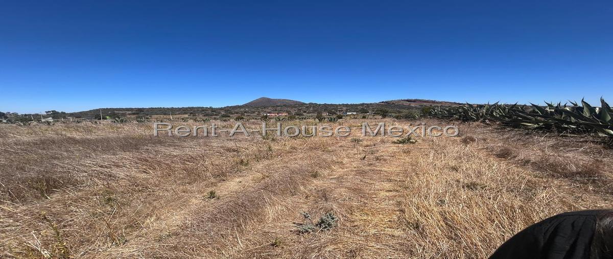 Foto de terreno habitacional en venta en  , santa gertrudis, zempoala, hidalgo, 0 No. 04