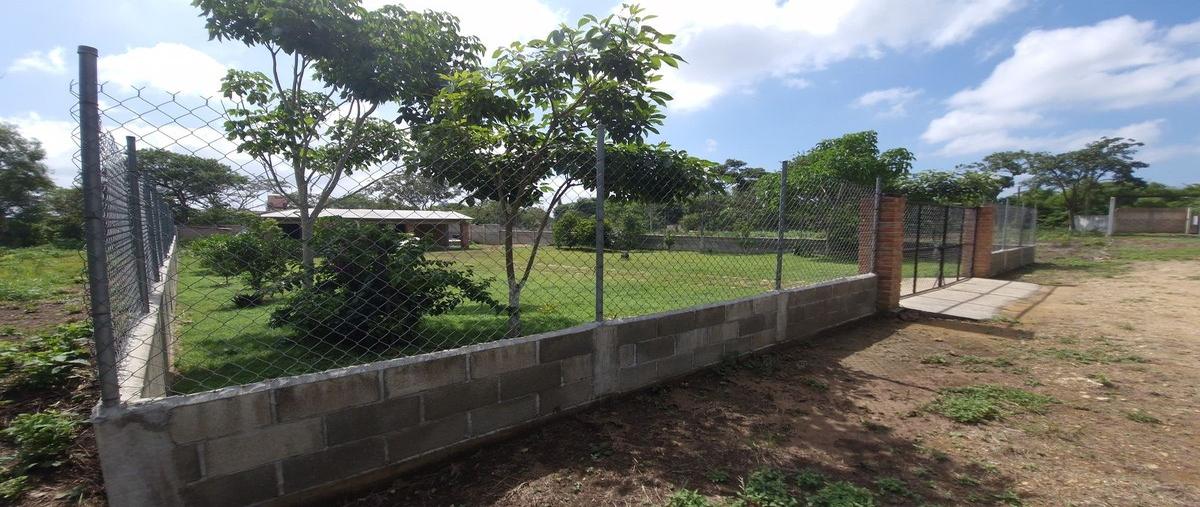 Foto de terreno habitacional en venta en  , santa inés bellavista, berriozábal, chiapas, 28594040 No. 03