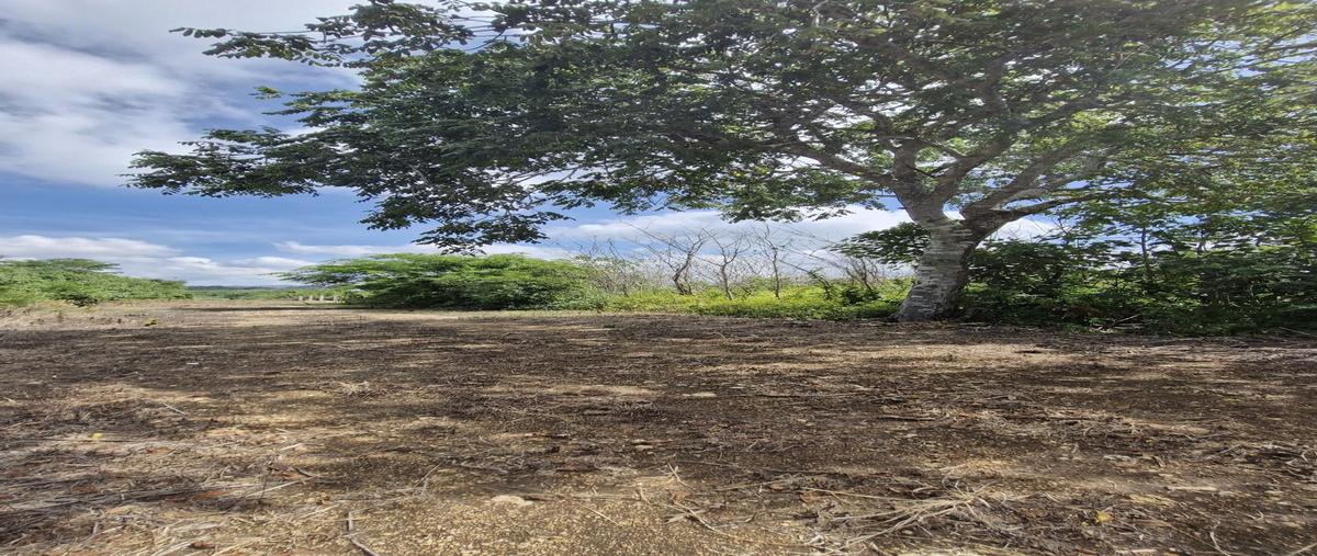 Foto de terreno habitacional en venta en  , santa inés bellavista, berriozábal, chiapas, 28594040 No. 04