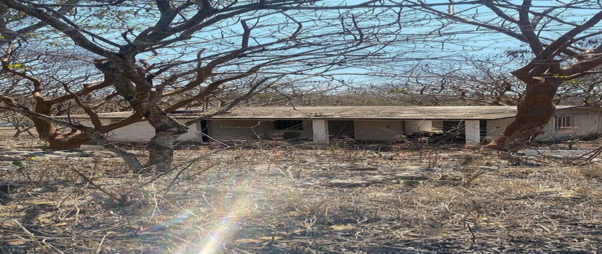 Foto de terreno habitacional en venta en  , santa inés bellavista, berriozábal, chiapas, 0 No. 04