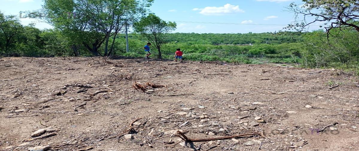 Foto de terreno habitacional en venta en  , santa isabel, cadereyta jiménez, nuevo león, 0 No. 05