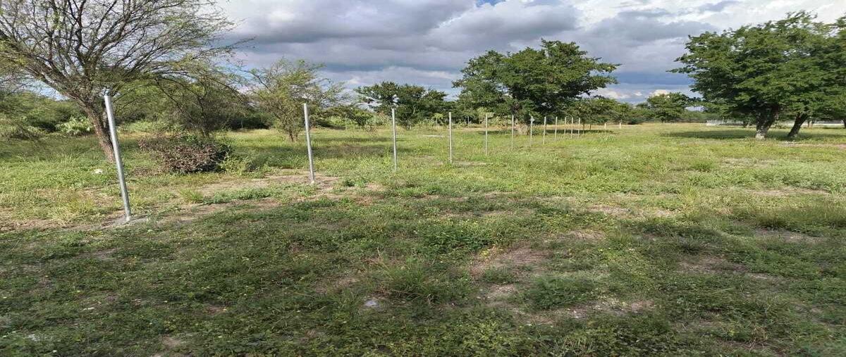 Foto de terreno habitacional en venta en  , santa isabel, cadereyta jiménez, nuevo león, 0 No. 03