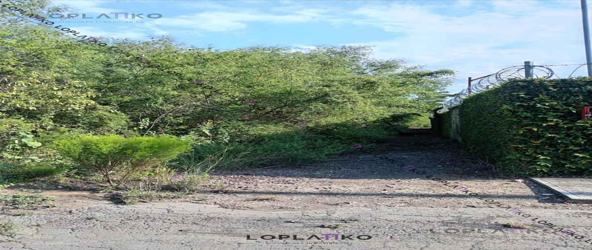 Foto de terreno habitacional en venta en  , santa isabel, cadereyta jiménez, nuevo león, 0 No. 05