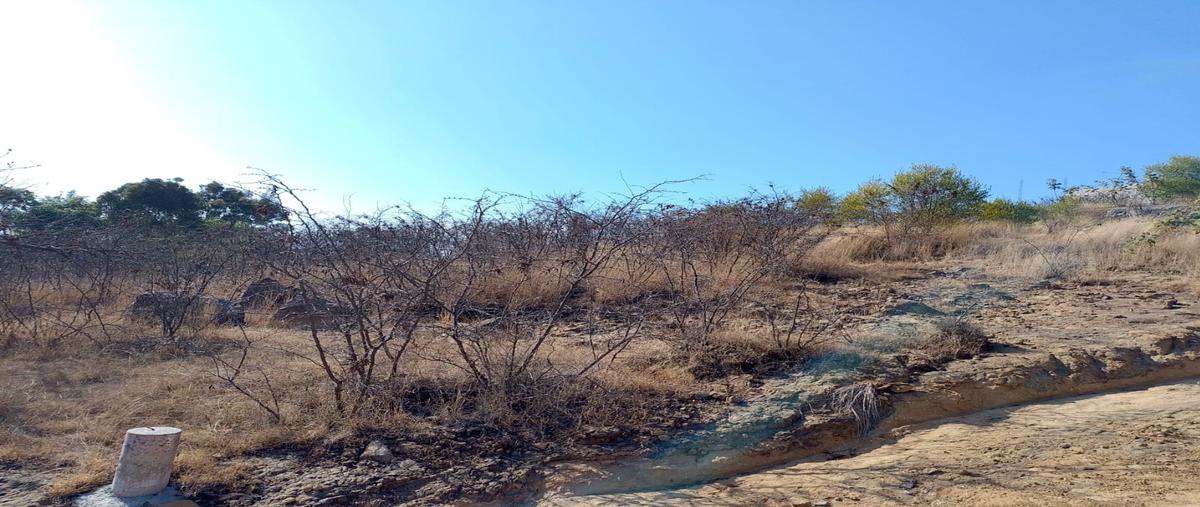 Foto de terreno habitacional en venta en  , santa isabel cholula, santa isabel cholula, puebla, 0 No. 04