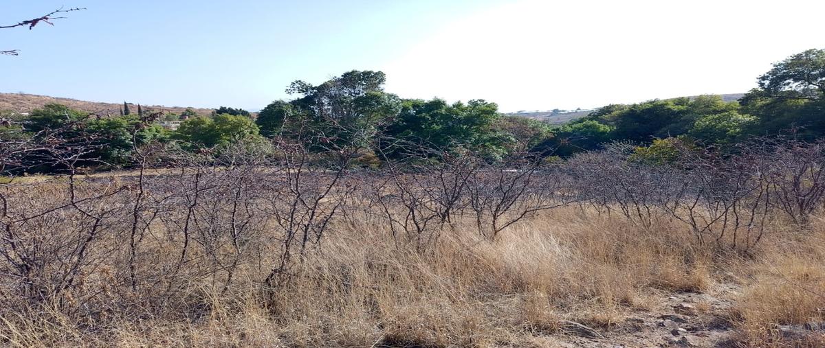 Foto de terreno habitacional en venta en  , santa isabel cholula, santa isabel cholula, puebla, 0 No. 05