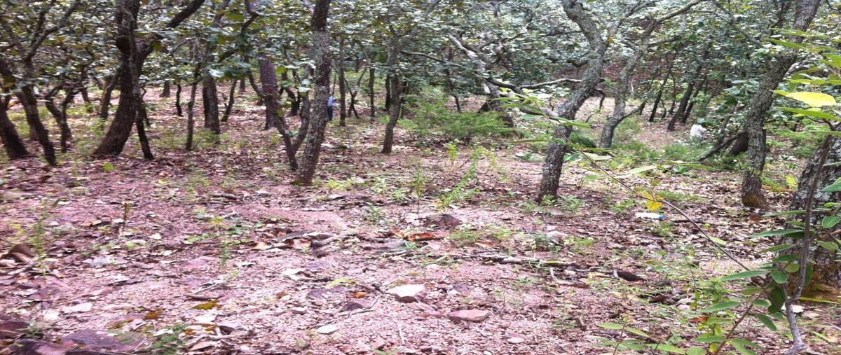 Foto de terreno habitacional en venta en santa isabel quililla kilometro 2.8 , guachinango, guachinango, jalisco, 27742113 No. 04