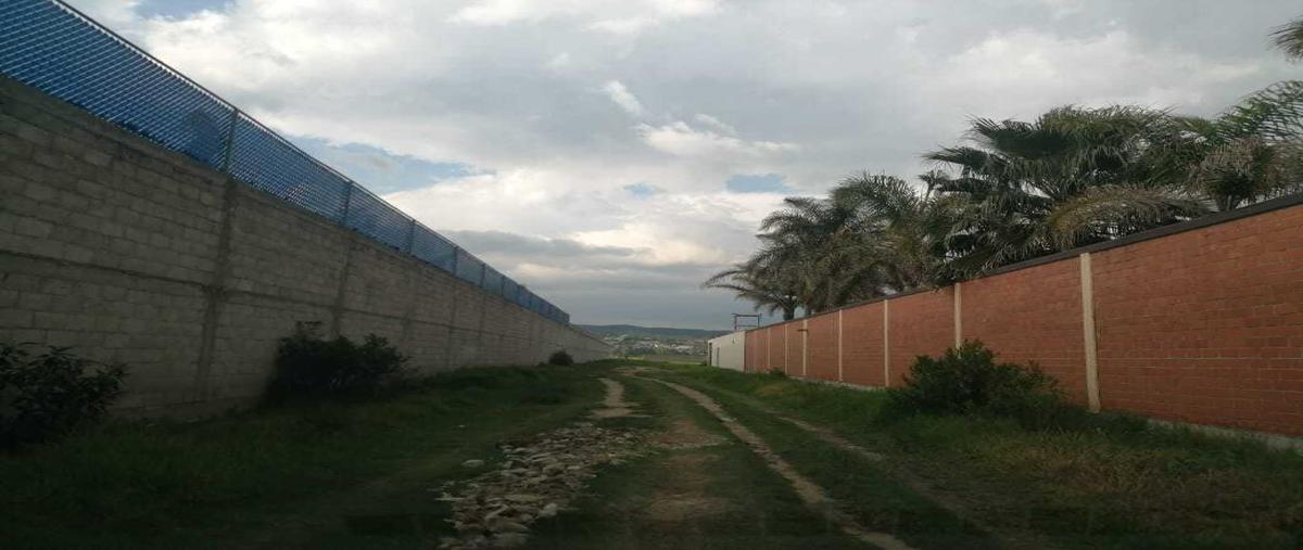 Foto de terreno habitacional en venta en  , santa justina ecatepec, ixtacuixtla de mariano matamoros, tlaxcala, 27184365 No. 05