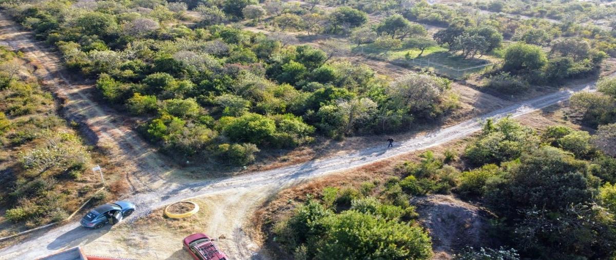 Foto de terreno habitacional en venta en  , santa lucia cosamaloapan, atlixco, puebla, 0 No. 04